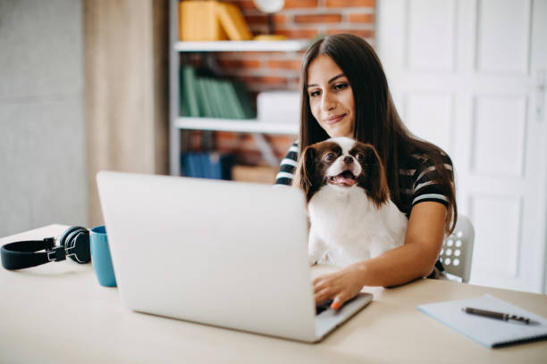 woman working from home - white dog audio imagens e fotografias de stock