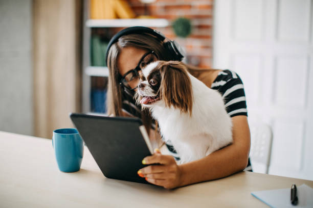 istock Woman working from home 1169528238