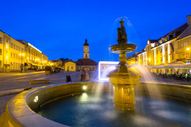 Fountain on the main square of Bialystok at night, Poland.