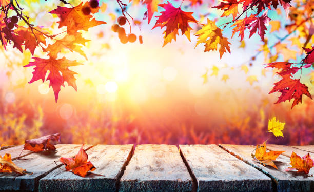 autumn backdrop - wooden table with red leaves - vibrant color nature october park imagens e fotografias de stock