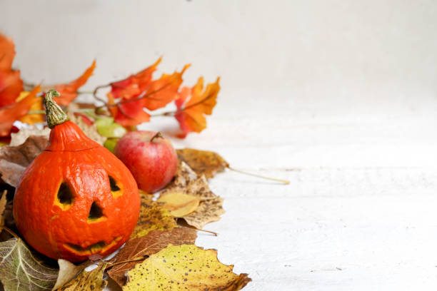 istock halloween pumpkin and autumn leaves on white background, copy space 1169533099
