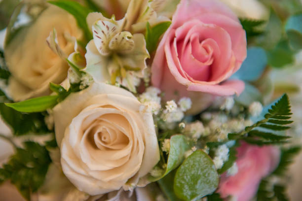 istock Beautiful flowers blooming 1169536227