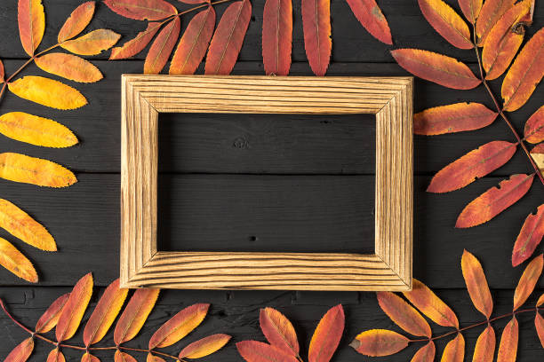 istock empty photo frame and colorful autumn leaves on black background 1169536524