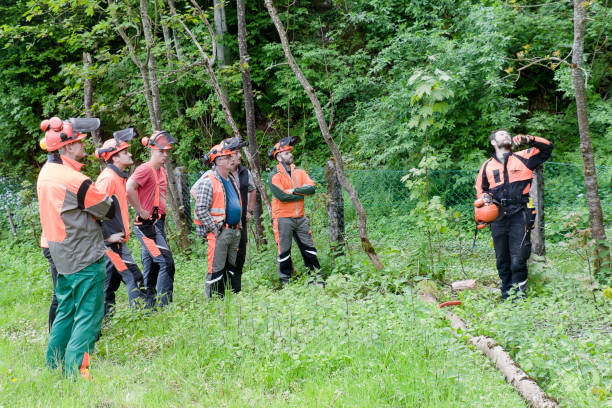 istock Instructor and participant of a lumberjack training 1169537893