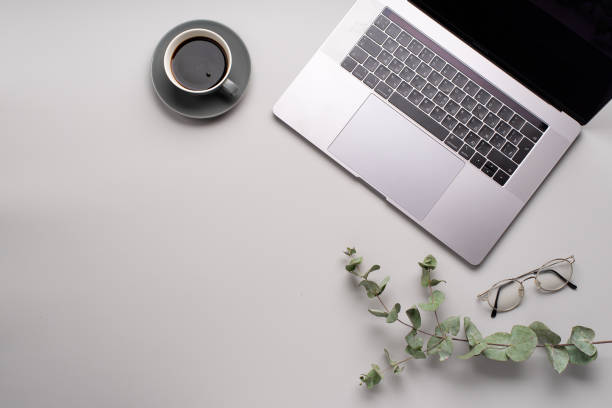 istock Flatlay with laptop, eucalyptus and a cup of coffee on gray background. Workspace concept. Copy space 1169539348