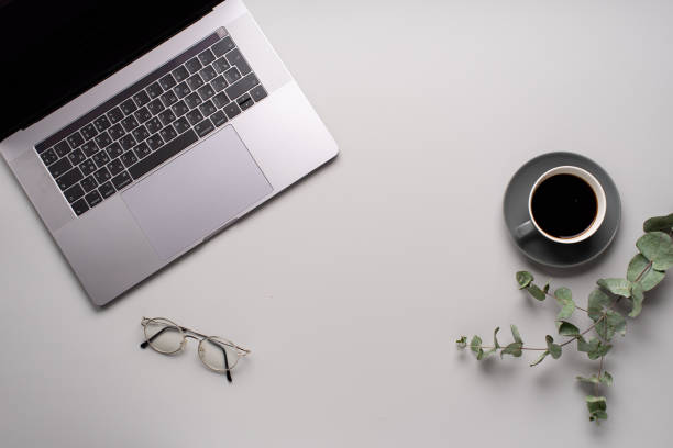 istock Flatlay with laptop, eucalyptus and a cup of coffee on gray background. Workspace concept. Copy space 1169539350