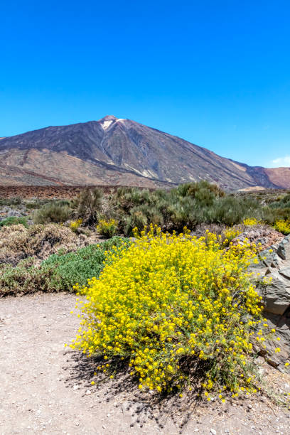 istock El Teide National Park 1169540212