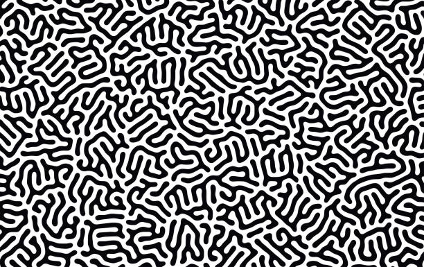 ilustrações de stock, clip art, desenhos animados e ícones de organic background with rounded lines. black and white vector trendy pattern. linear design. - caos