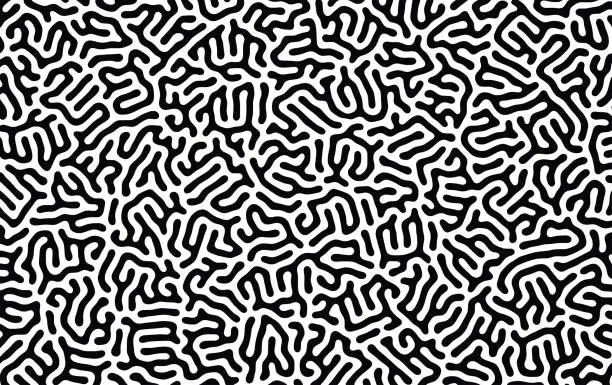 Vector illustration of Organic background with rounded lines. Black and white vector trendy pattern. Linear design.