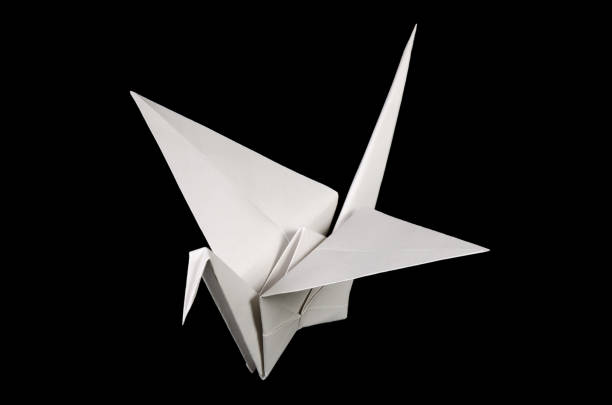 istock White origami crane, tsuru, on black background 1169544612