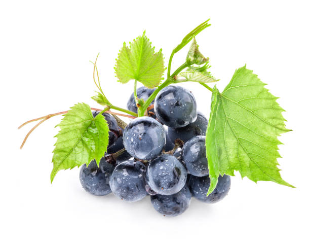 istock Ripe dark grapes with leaves, Isolated on white background 1169549211