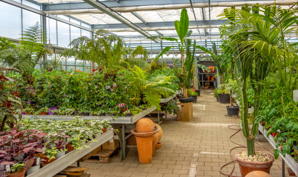 istock greenhouse scenery 1169550573