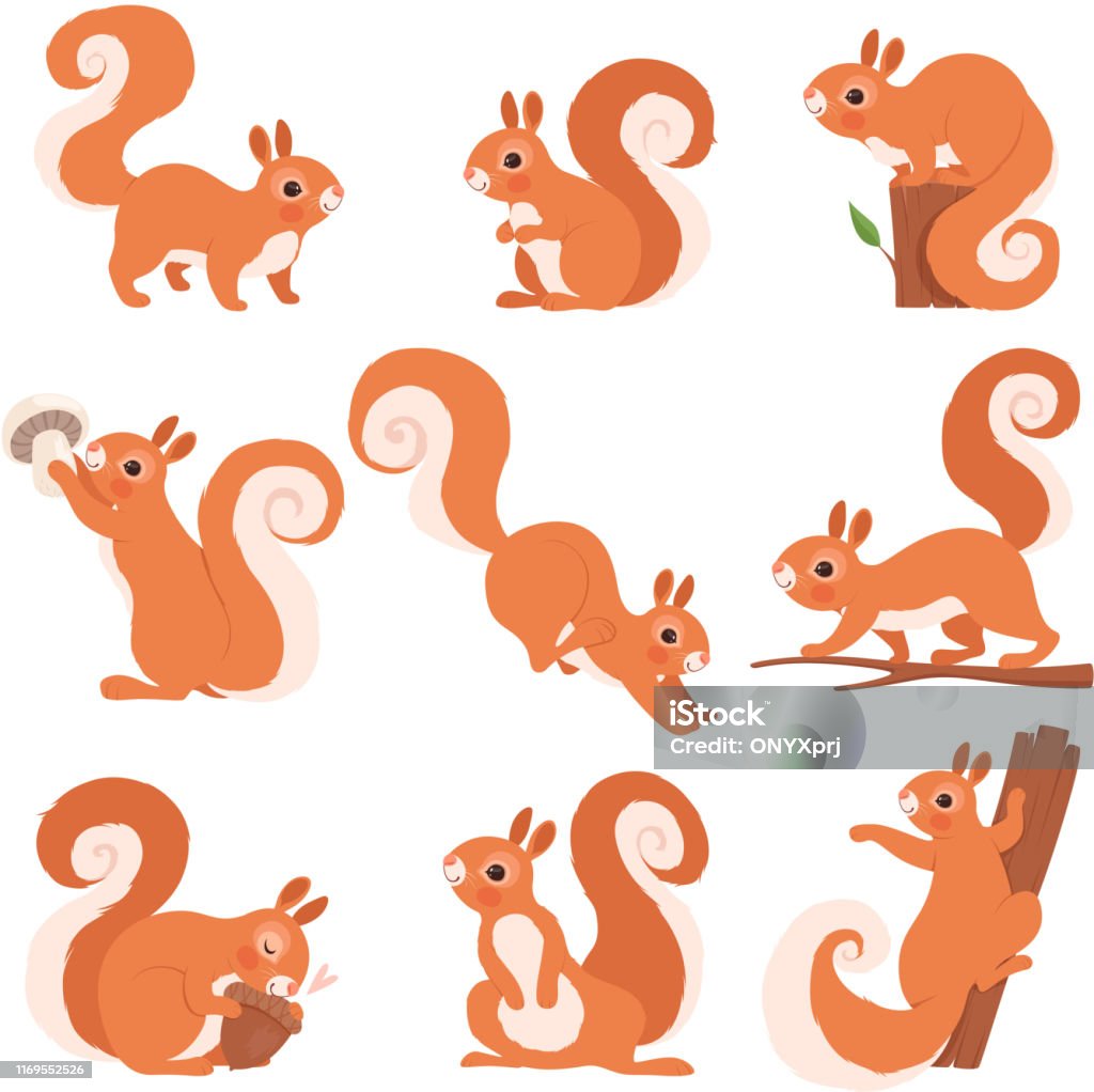Cartoon Squirrel Funny Forest Wild Animals Running Standing And Jumping  Vector Squirrel Clip Art Collection Stock Illustration - Download Image Now  - iStock