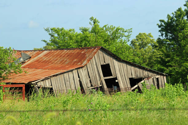 istock Old barn in a field over time falling down 1169552934