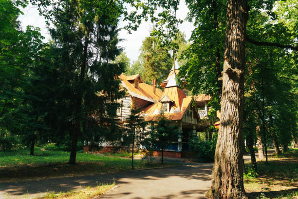 old abandoned house in a summer forest