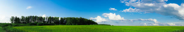 istock blue sky with clouds and green field 1 1169553810