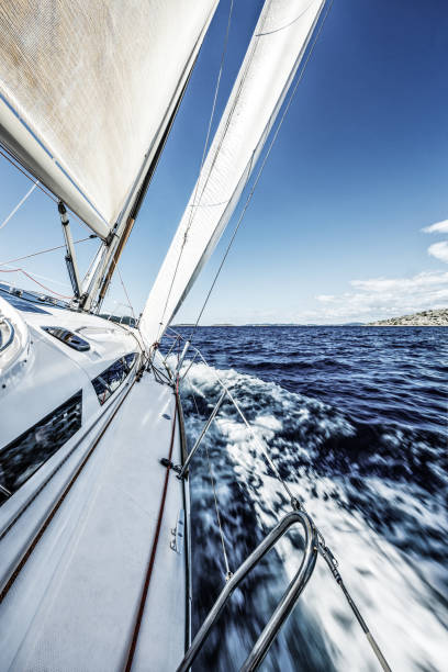 istock Sailing with sailboat 1169555774