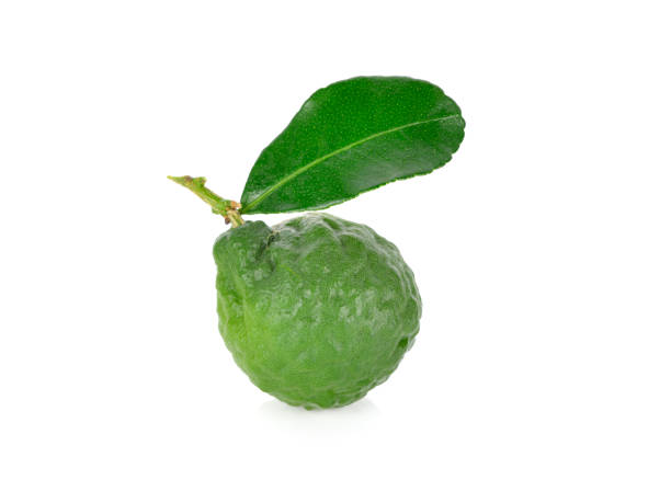 istock whole fresh kaffier with stem and leaf on white background 1169555936