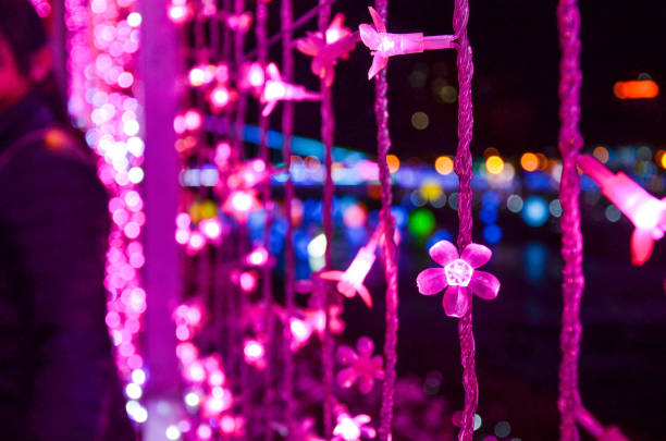 istock Pink petal shape string decorated with street. 1169556655