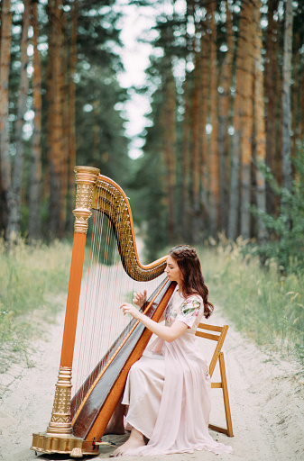 Woman harpist sits at forest road and plays harp in beautiful dress against a background of pines.