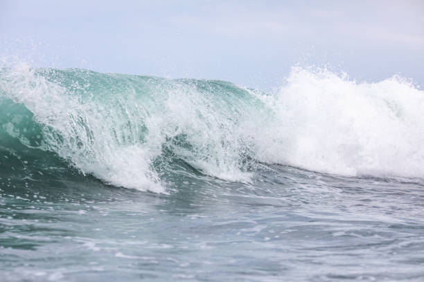 istock Ocean blue wave in ocean. Breaking wave for surfing in Bali 1169558994