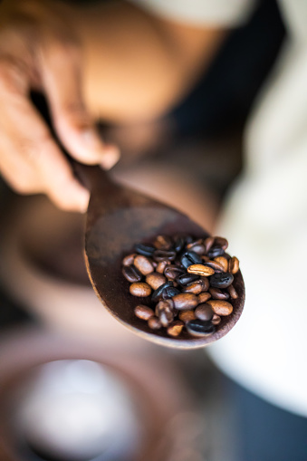 Kopi Luwak Coffee Beans in Indonesian Coffee Roastery