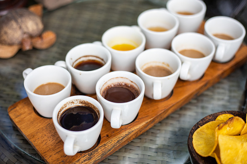 Luwak Coffee & Tea testing in Bali