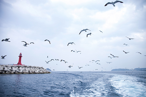 Sokcho port in Sokcho-si, South Korea.