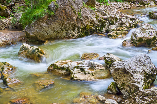 istock Summer river flowing in the mountains 1169563861