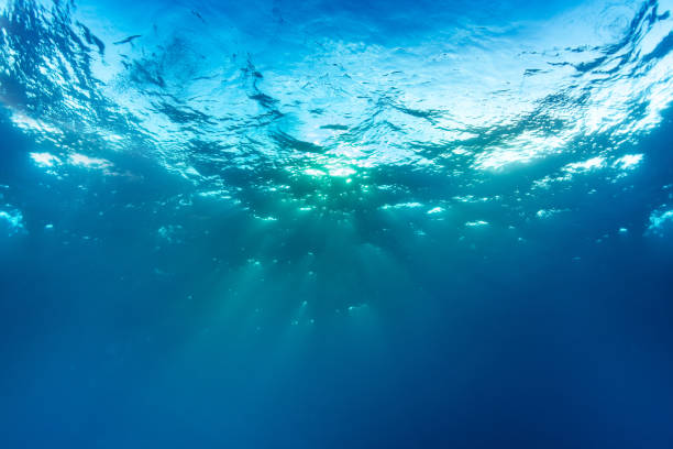istock underwater sun light beam with blue sea 1169565166