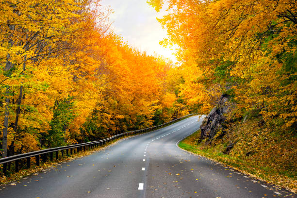 istock Fall scenic road in Sweden 1169566078
