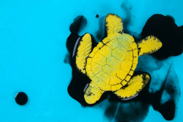 istock Turtle in oil. pollution in ocean environmental problem. Ecological situation world earth 1169569802
