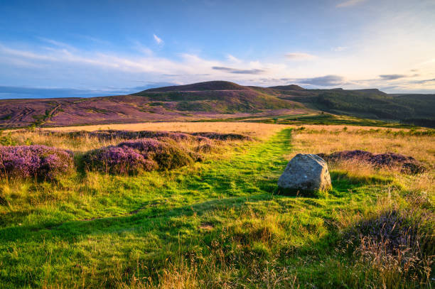 хизер покрытые саймонсайд хиллз из лорденшоу хиллфорт - hill grass heath moor стоковые фото и изображения