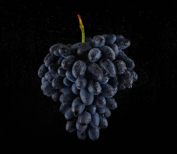 istock wet black grapes on a black background 1169570878