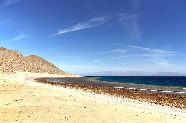 istock Desert and ocean 116957275