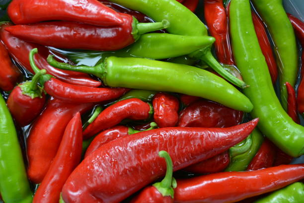 Bright hot red and green Ukrainian peppers in the water, healthy food and vegetables for health. Bright and colorful vegetables and fruits in a beautiful seller.  Healthy and tasty food that are very wholesome and very edible.  All my images and pictures were taken at the Severny residential estate, Dnipro, Ukraine. anaheim pepper photos stock pictures, royalty-free photos & images