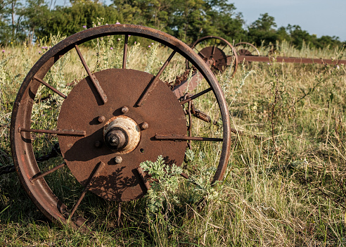 Old rusty wheels of agricultural machinery abandoned in dry grass