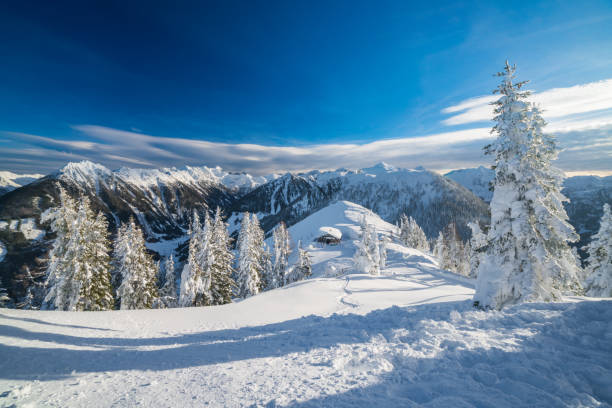 winter mountain landscape with snow covered trees on sunny vacation day with blue sky tracks traces in deep snow leading to ski hut lodge