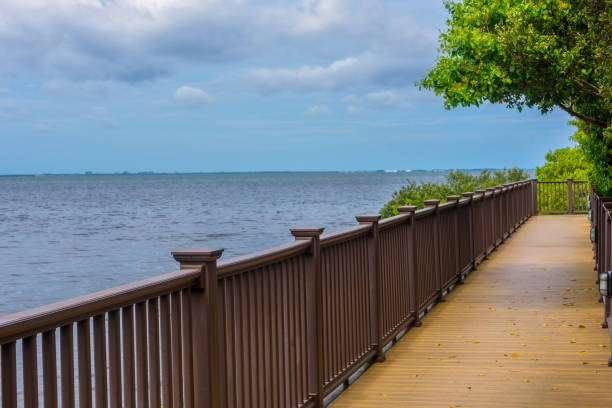 istock Wooden Boardwalk Along the Bay 1169576753