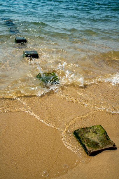 istock Arcachon beach near Dune de Pilat 1169579664