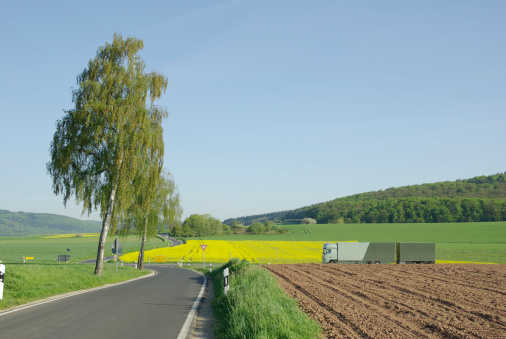 Beautiful spring image of a lorry behind the flowering yellow rape field. On the Federal road called B 3 are driving many lorries from the one highway called A 7 to the other called A 5. Auf der Bundesstraße 3 fahren viele Lastkraftwagen von der Autobahn A7 zur A5.