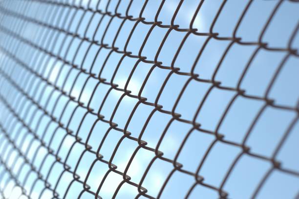 istock Close up of a chain link wire fence 1169583780