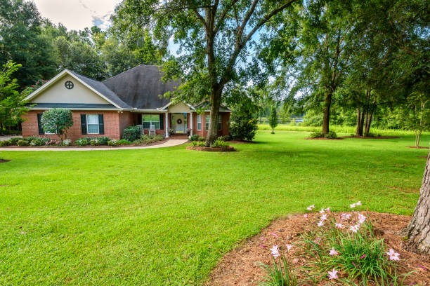 istock Colonial Brick House with Large Yard 1169584876