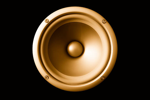 istock Acoustic gold speaker 116958715