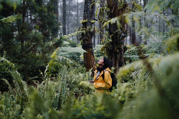 le giovani donne esplorano la foresta a bandung - pioniere foto e immagini stock