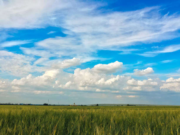 istock blue sky with clouds and green field 1169587507