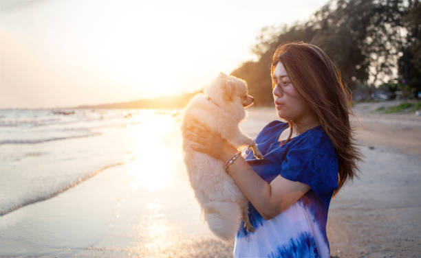 istock Young Woman Holding Dog While Standing At Beach During Sunset 1169590015