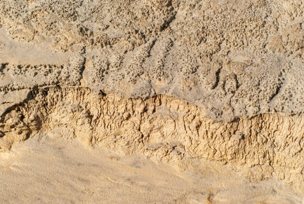 istock background - dried up river bed 1169591039