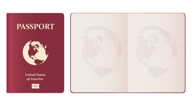 Realistic passport vector design illustration isolated on white background Beautiful vector design illustration of realistic passport isolated on white background passport stock illustrations