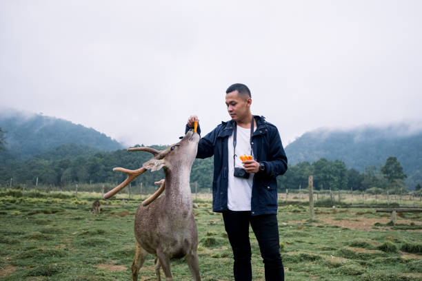 istock Young Man Feeding Deer in Deer Farm, Bandung 1169595354